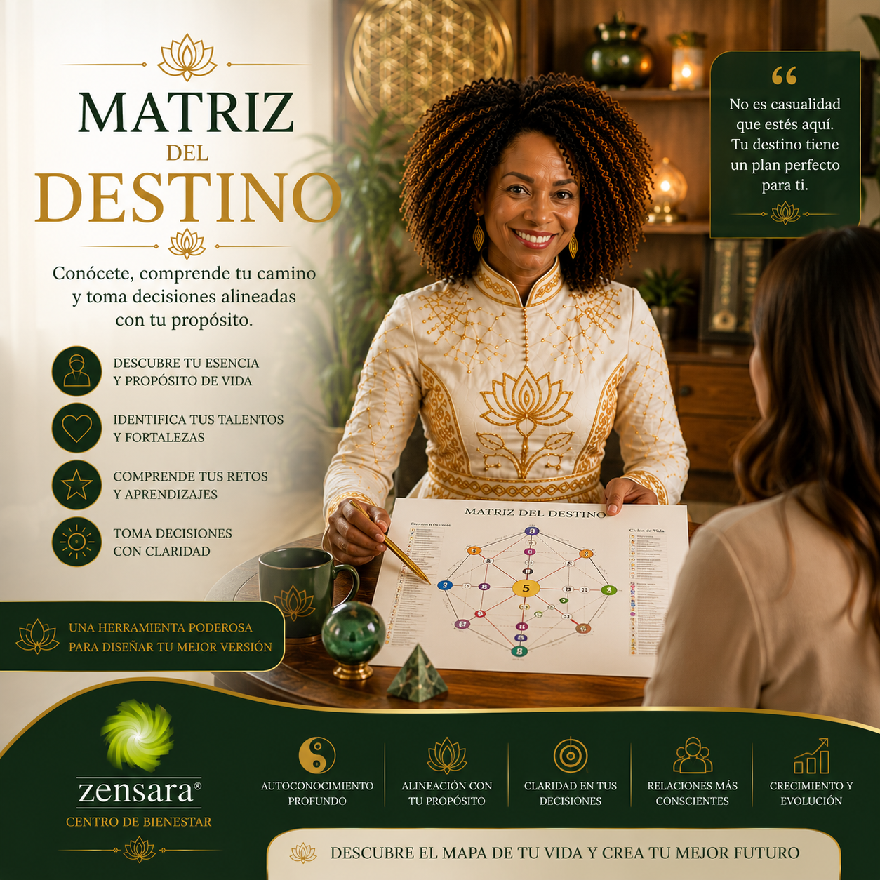 Servicio ZENSARA 7 de 19
